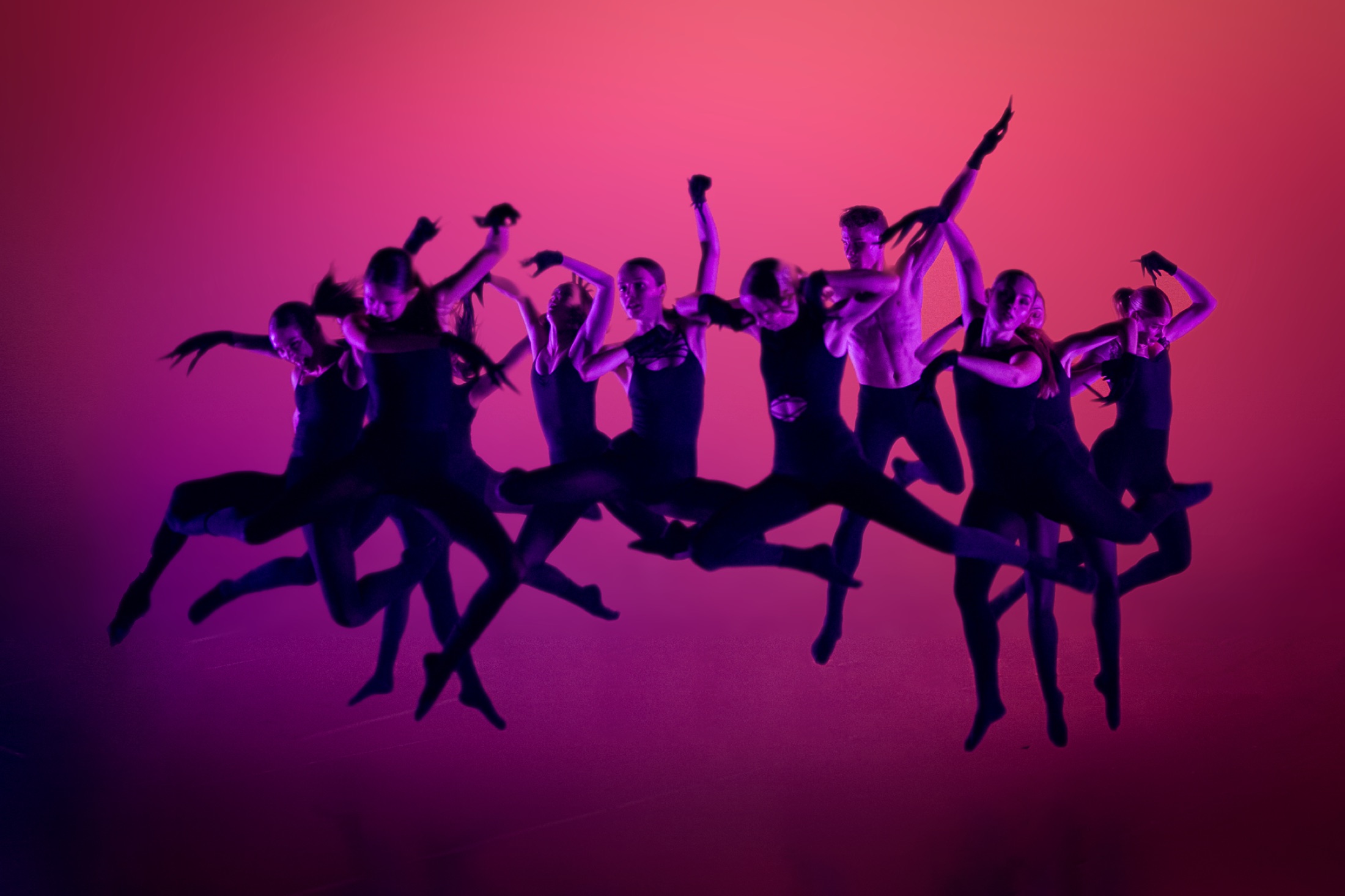 A contemporary dance ensemble suspended in motion under magenta light