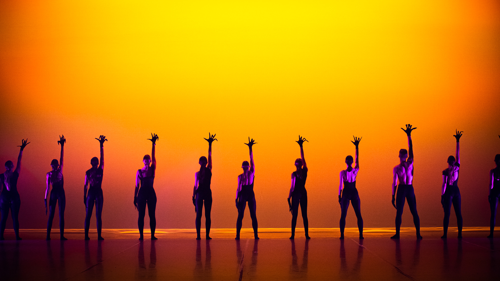 LotusLand performance still 4