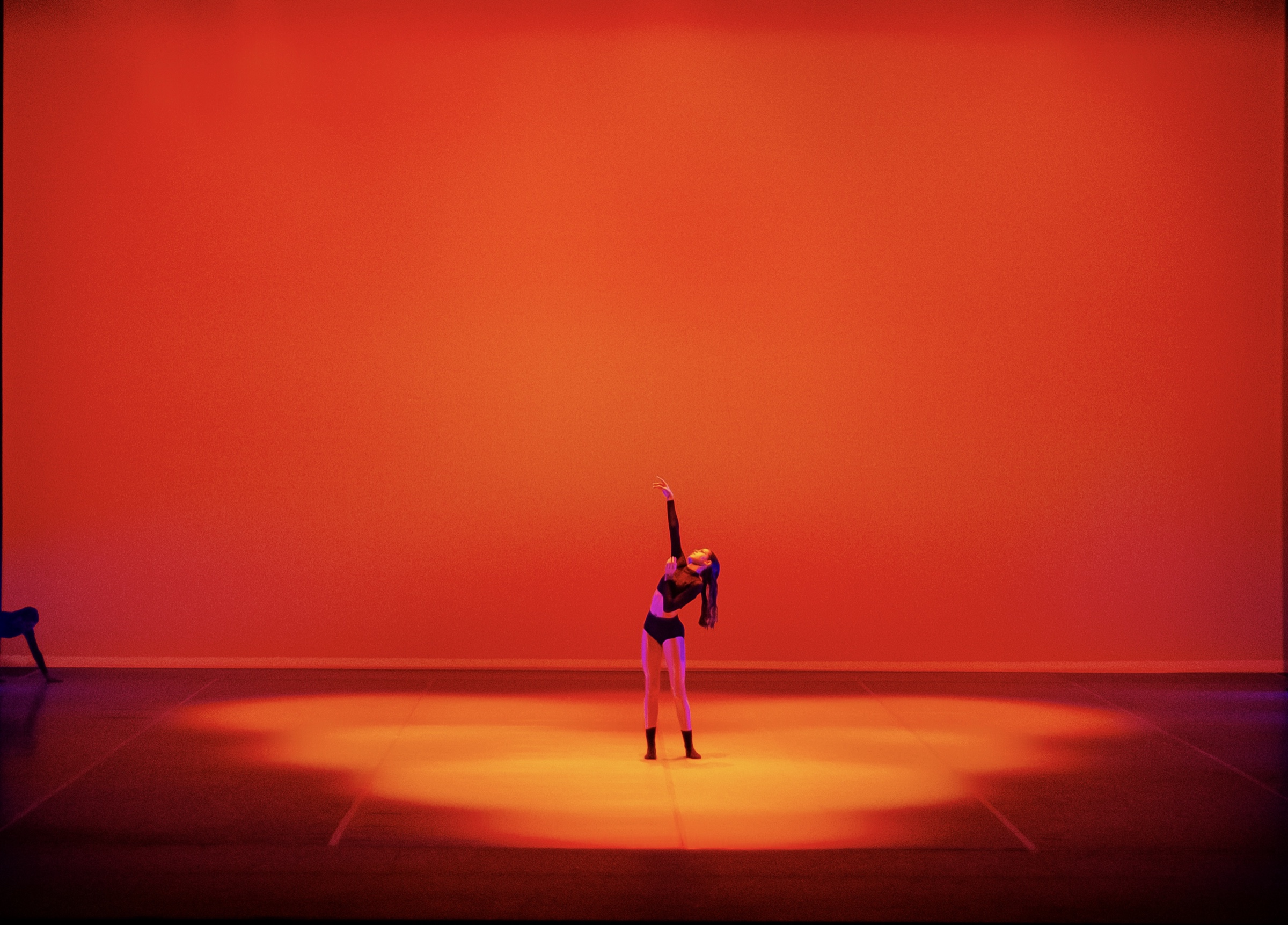 Standing on the Horizon performance still 9